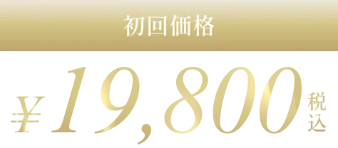 初回価格¥19,800