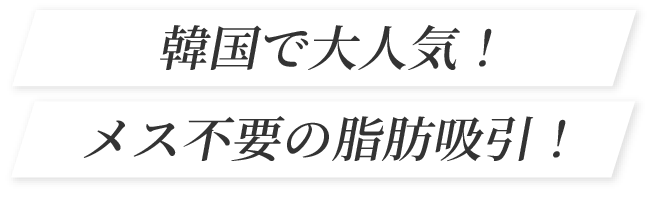 韓国で大人気！メス不要の脂肪吸引！