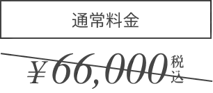 通常価格¥66,000