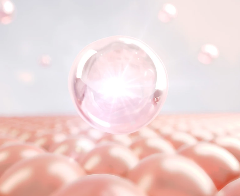 ハリ・弾力感の低下へのアプローチ