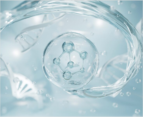 土台から整えるアプローチ