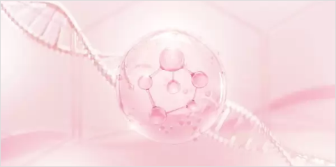 効果のピーク：1～2ヶ月後に最も実感