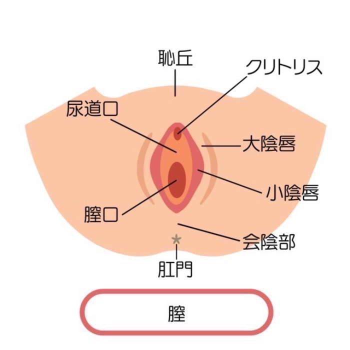 副皮除去術施術イメージ