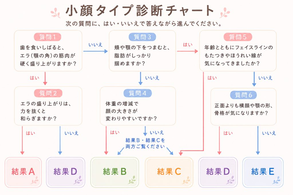 顔タイプ診断