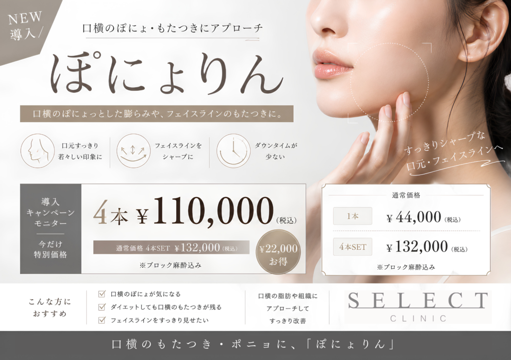 ぽにょりん導入